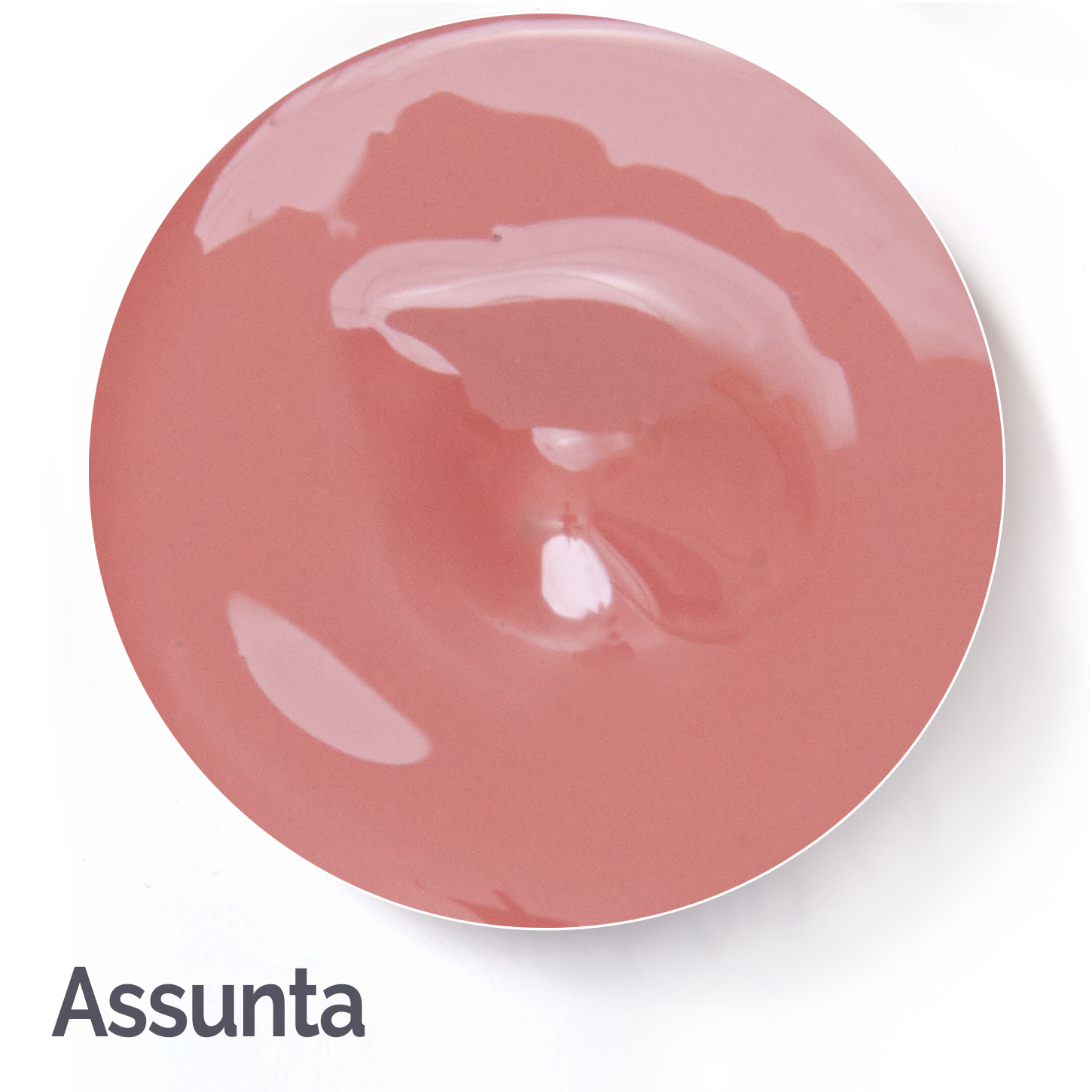 Assunta Color Swatch #assunta